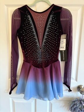 NWT Crystal Embellished Ombre Figure Skating Dress